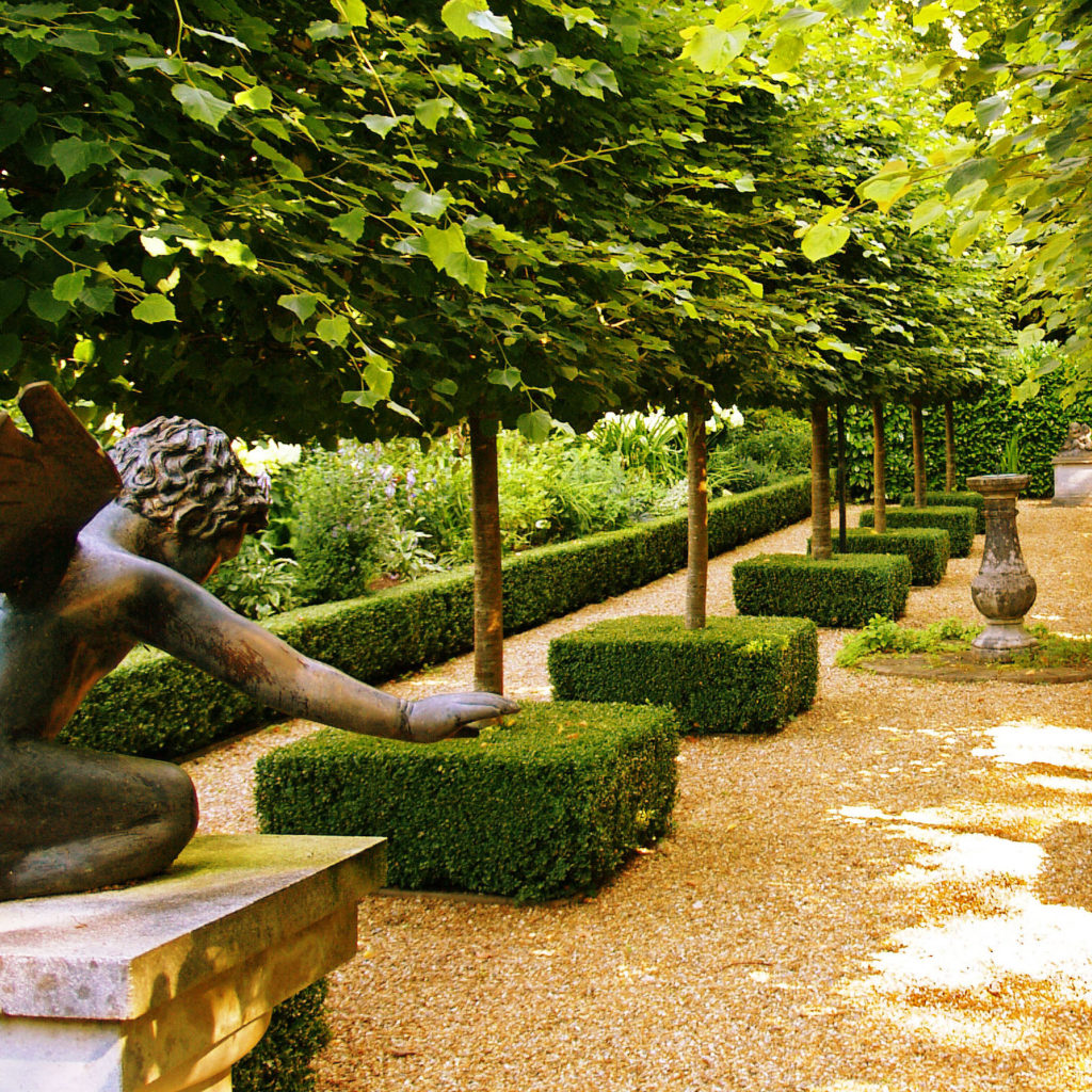 Французский сад 